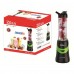 Blender cu Recipient Sport Portabil 600ml , ZLN0511